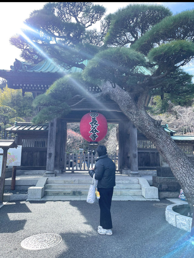 พาชมวัดเก่าแก่ วัดฮาเสะเดระ ⛩️ พาชมวัดเก่าแก่ วัดฮาเสะเดระ ⛩️