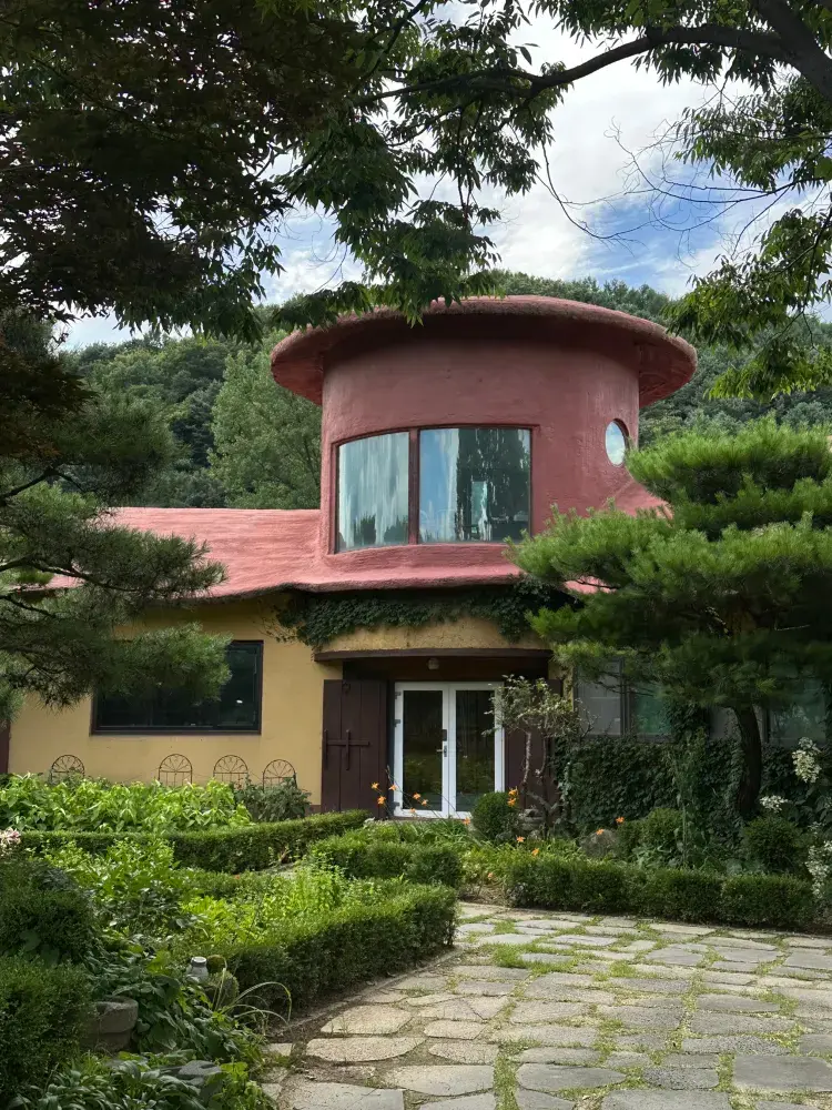 🍽️ 완도 여행 한식 맛집 후기 🌊