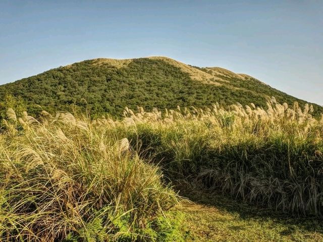 Wandering Through the Steamy Trails of Huangzuishan Ecological Conservation Area
