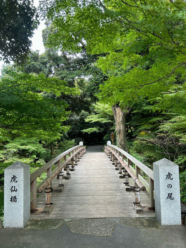 🇯🇵日本✈️名古屋池泉式庭園德川園