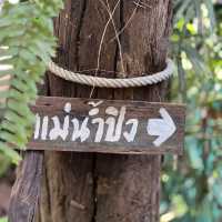 สวนป่าตากา คาเฟ่ อำเภอวังเจ้า จังหวัดตาก