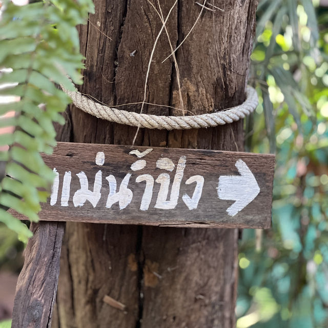 สวนป่าตากา คาเฟ่ อำเภอวังเจ้า จังหวัดตาก