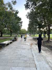 台南都會公園-奇美博物館外慢遊