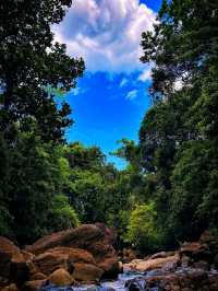 🌿 Kaludiya Pokuna – Where History Sleeps in the Forest
