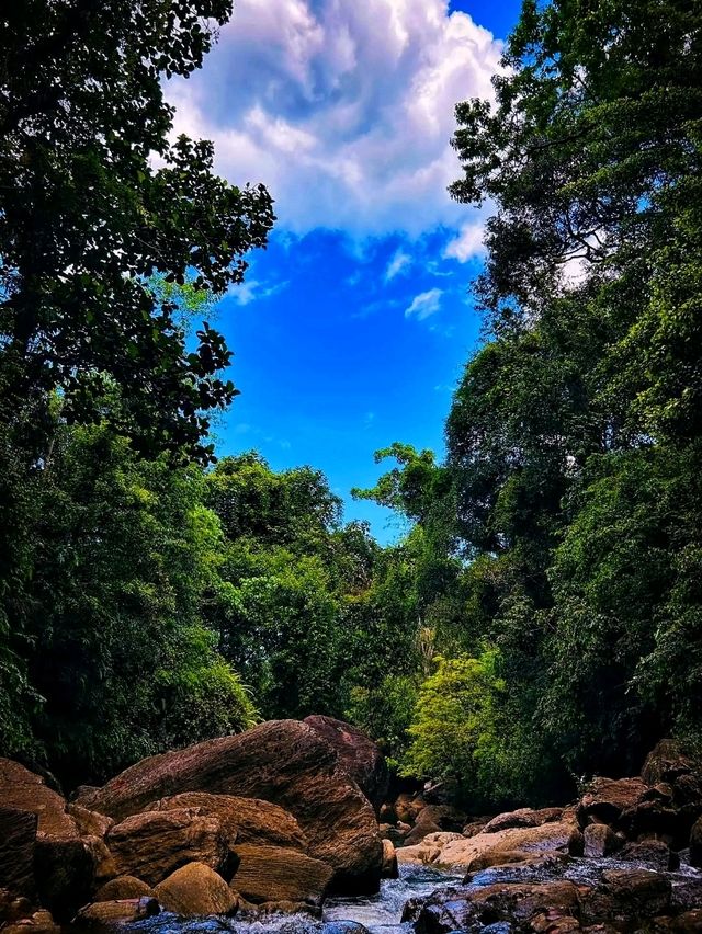🌿 Kaludiya Pokuna – Where History Sleeps in the Forest 🌿 Kaludiya Pokuna – Where History Sleeps in the Forest