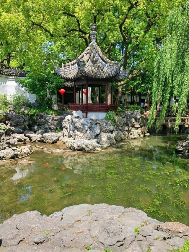 Wandering Through Yu Garden, Shanghai