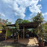 Hidden Country Stables in Penang
