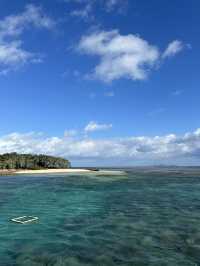ケアンズ🇦🇺 グリーン島🏝️