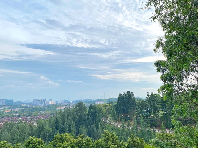 Rise & Shine at Taman Saujana Hijau: Where Joggers Meet Oxygen and Selfies! Rise & Shine at Taman Saujana Hijau: Where Joggers Meet Oxygen and Selfies!