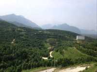 Gaharu Tea Valley – The Fragrant Forest Escape ✨🌿