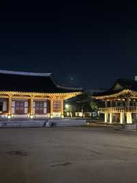 전주대 옆, 야경이 아름다운 호수 [전주 덕진공원] ✨