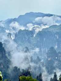 Exploring Zhangjiajie National Forest Park – A Journey into the Real Pandora