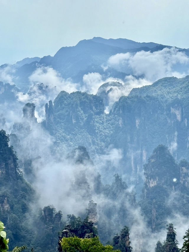 Exploring Zhangjiajie National Forest Park – A Journey into the Real Pandora