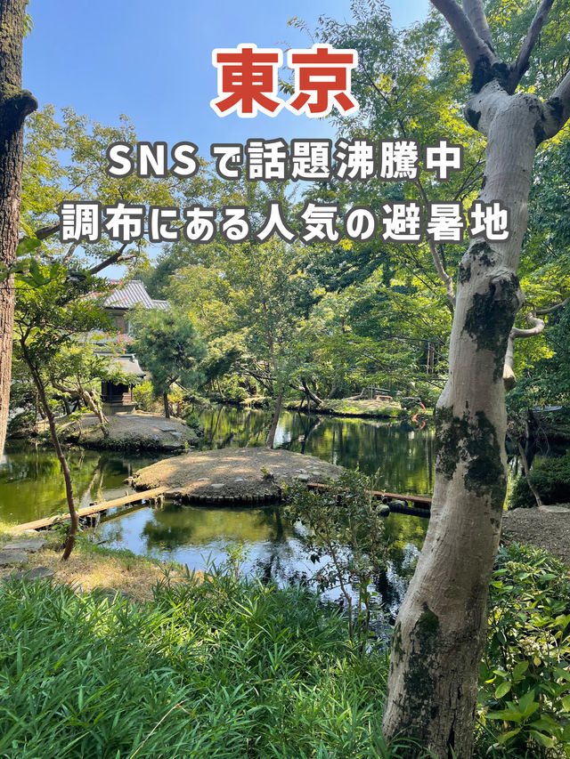 【東京】SNSで話題沸騰中！人気の避暑地🌱
