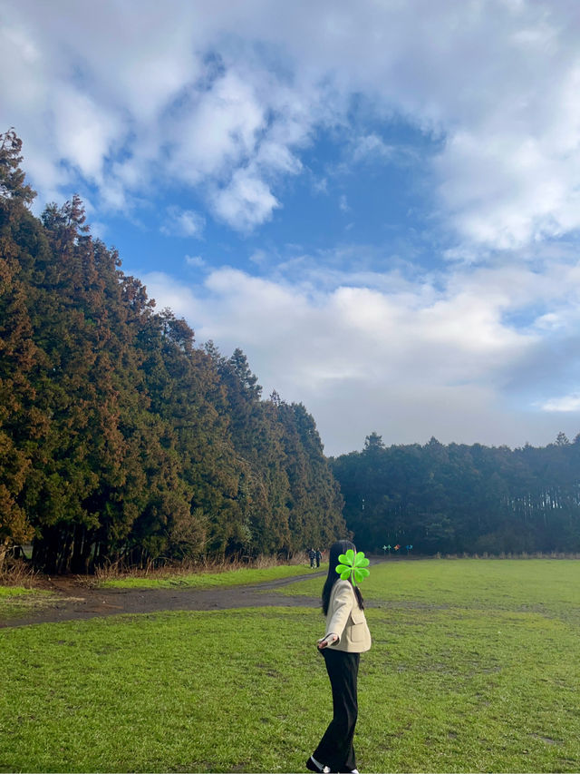 📍 제주에서 하루, 감성 충전 여행 코스 ✨
