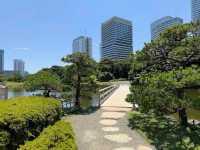 Hama-rikyu Gardens