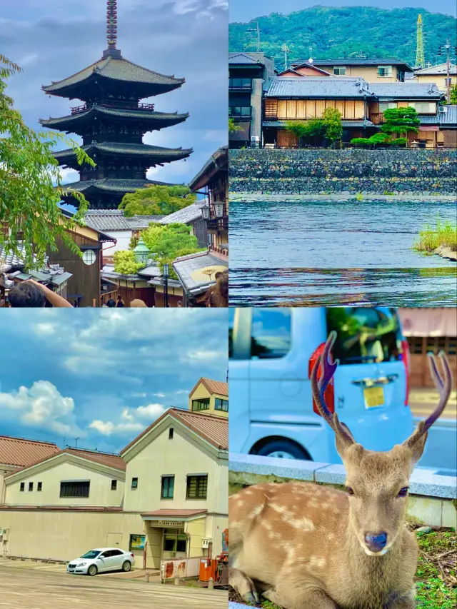 오사카까지 가서 교토에서만 4일 보낸 여행일정🍜🇯🇵🎋