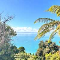 Abel Tasman National Park: Where Golden Beaches Meet Native Forest