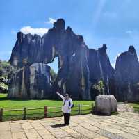 Nature’s Masterpiece at Stone Forest