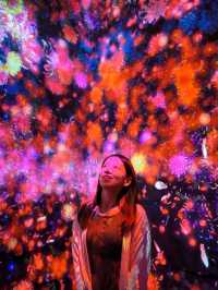 Teamlab borderless, borderless between you and Tokyo