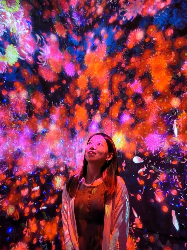 Teamlab borderless, borderless between you and Tokyo
