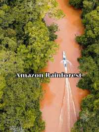 Amazon Rainforest