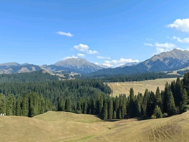 A Hidden Symphony of Meadows and Forests – Kuerdening