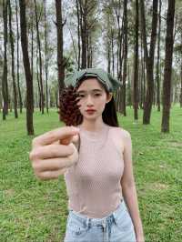 ✨⛰️ รีวิวทริปเชียงดาว สไตล์ชิล ๆ ⛺🍲