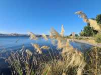 Lake Taupo