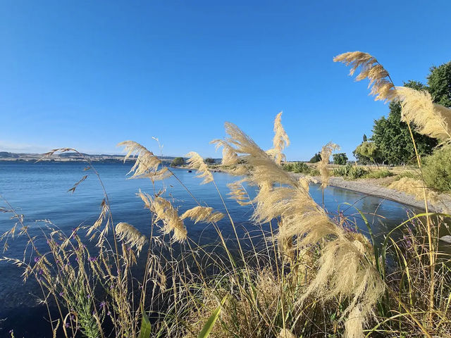 Lake Taupo
