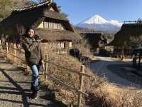 🌿 Saiko Iyashi no Sato Nenba: The Healing Village by Mount Fuji