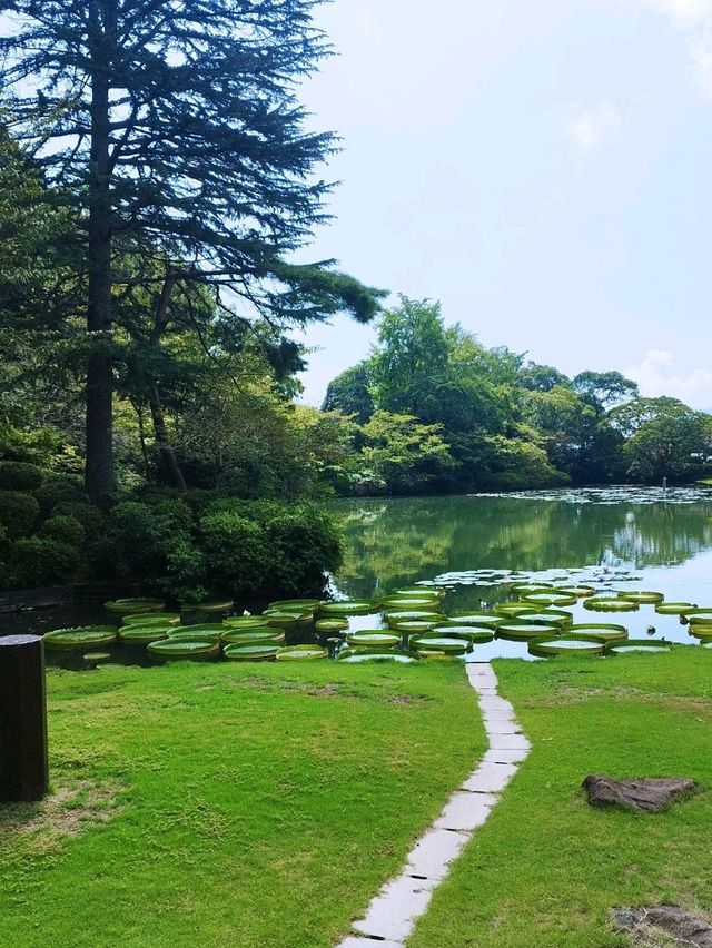 海地獄
