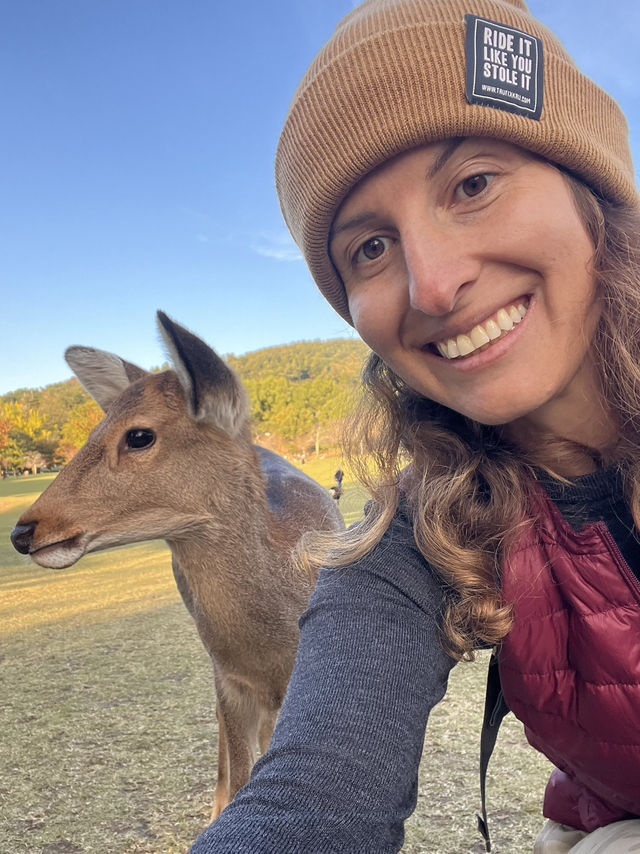 🦌 Day Trip to Nara – Gardens, Deer & Matcha 🍦