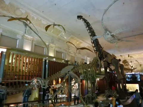 什麼？怎麼會是到銀行看古生物？