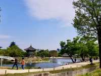 Pondside Wonder🌿,  