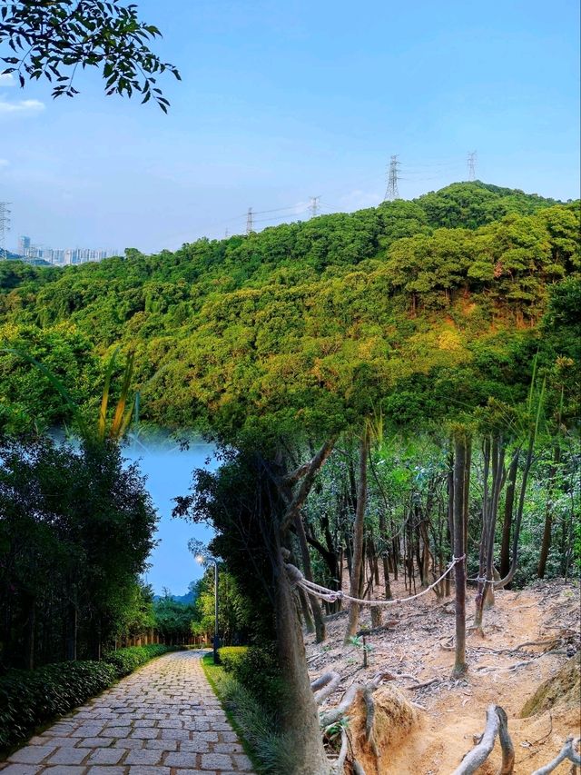 城市遠足必去山林路線🌲