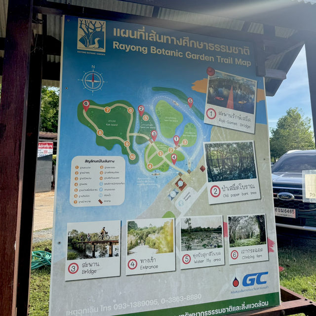 สวนพฤกษศาสตร์ระยอง 🏞️