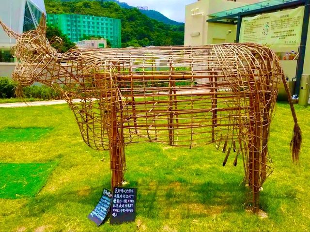 The Pokfulam Farm – Where Heritage Meets Nature