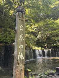 Tokyo to Karuizawa: A Hidden Gem Adventure!