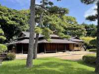 the Imperial Palace East Gardens
