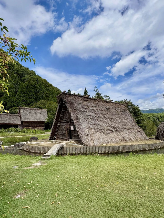 🌾 Golden September in Shirakawa-go, Gifu