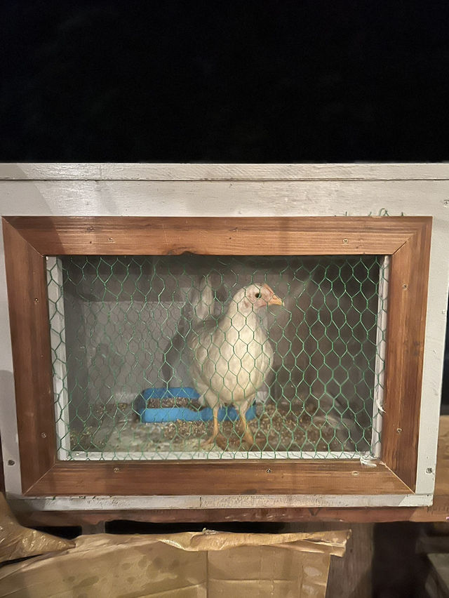 【沖縄 宜野湾】レコード好きにはたまらない空間♬ 【沖縄 宜野湾】レコード好きにはたまらない空間♬