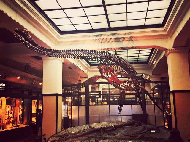 東京🇯🇵國立科學博物館-探索科學世界 東京🇯🇵國立科學博物館-探索科學世界