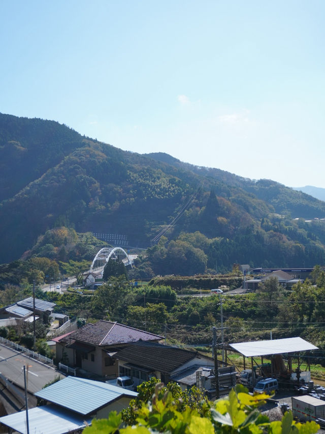 105mの鉄橋から見える壮大な景色 廃線を利用したトロッコ列車