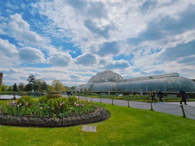 영국 왕립식물원 큐 가든의 대형 온실, 팜 하우스 영국 왕립식물원 큐 가든의 대형 온실, 팜 하우스