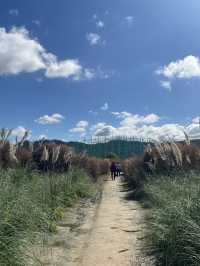 Best autumn escapes near Seoul-Nari Park in Yangju