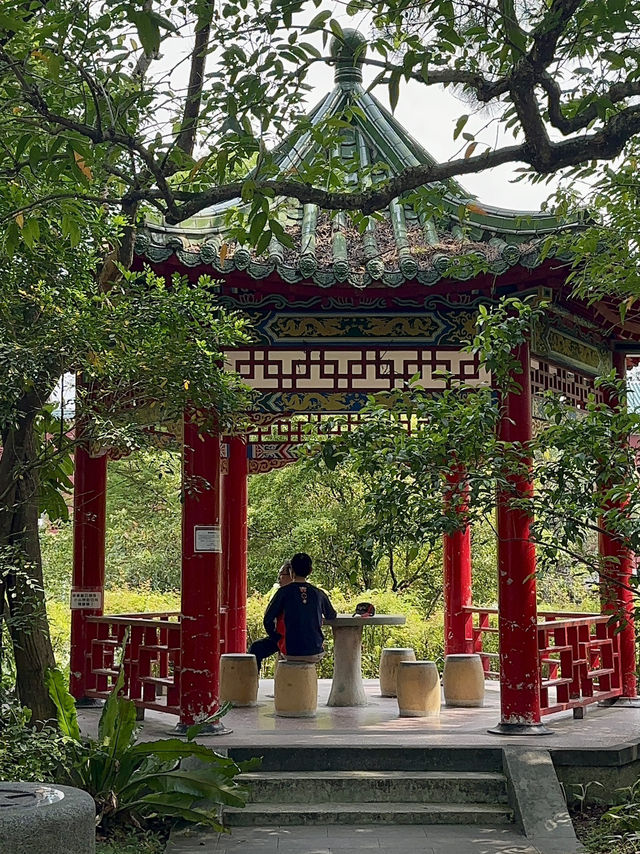植物總類多達2000種!台灣第一座植物園 植物總類多達2000種!台灣第一座植物園