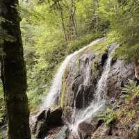 Cascade du Hohwald – The Hidden Gem of the Alsatian Forests