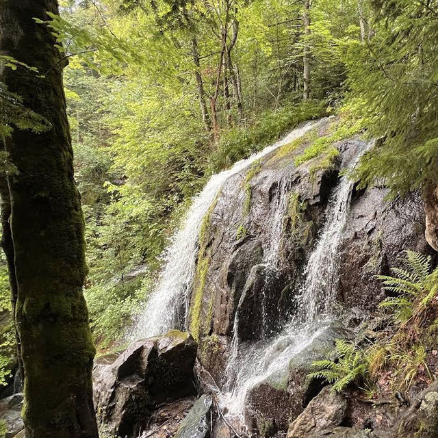 Cascade du Hohwald – The Hidden Gem of the Alsatian Forests