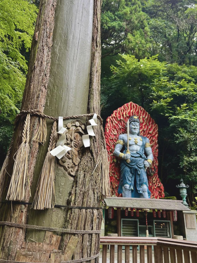 🌸 Nanzoin Temple — Serenity, Hydrangeas, and the Great Reclining Buddha